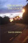 David Erdos, Katzenbach Research Fellow David (Centre for Socio-Legal Studies and Balliol College Erdos - The Scar on the Cloud