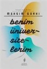 Maksim Gorki - Benim Üniversitelerim