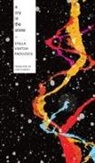 Stella Vinitchi Radulescu, Stella Vinitchi - A Cry in the Snow