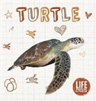 Alex Brinded, Madeline Tyler, Danielle Rippengill - Turtle