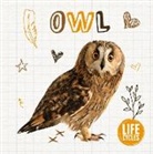 Alex Brinded, Madeline Tyler, Danielle Rippengill - Owl