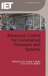 Hernan Battista, Hernán Battista, Hernán De Battista, Fabricio Garelli, Ricardo J Mantz, Ricardo J. Mantz - Advanced Control for Constrained Processes and Systems