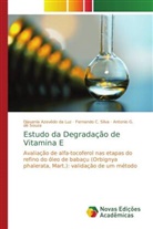 Djavania Azevêdo Da Luz, Antonio G. de Souza, Djavania Azevêdo da Luz, Fernando C. Silva - Estudo da Degradação de Vitamina E