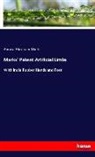 Amasa Abraham Marks - Marks' Patent Artificial Limbs