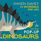 Owen Davey, Davey Owen, Owen Davey, Davey Owen - My First Pop-Up Dinosaurs