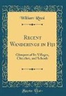 William Reed - Recent Wanderings in Fiji
