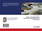 Mohammad Amir Khan - Study of turbulent flow structure in the proximity of braided bar