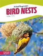 Stacy Tornio - Bird Nests