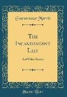 Gouverneur Morris - The Incandescent Lily
