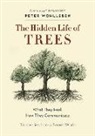 Peter Wohlleben - Hidden Life of Trees