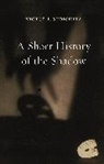 Victor I. Stoichita, Stoichita Victor I. - A Short History of the Shadow