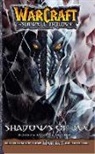 Kim Jae-Hwan, Jae-Hwan Kim, Richard A. Knaak, Knaak Richard A. - WarCraft: The Sunwell Trilogy #2: Shadows of Ice