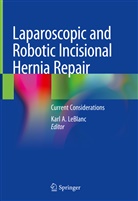 Kar A LeBlanc, Karl A LeBlanc, Karl Leblanc, Karl A. LeBlanc - Laparoscopic and Robotic Incisional Hernia Repair