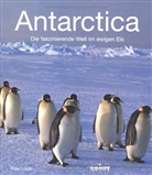 Mike Lucas - Antarctica