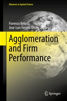 Fiorenz Belussi, Fiorenza Belussi, Hervas-Oliver, Hervas-Oliver, Jose-Luis Hervas-Oliver - Agglomeration and Firm Performance