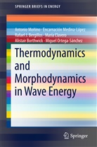 Bergillo, Rafael J. Bergillos, Alistair Borthwick, María Clavero, Encarnació Medina-López, Encarnación Medina-López... - Thermodynamics and Morphodynamics in Wave Energy