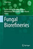 Pratibh Dheeran, Pratibha Dheeran, Samir Khanal, Sachin Kumar, Mohammad Taherzadeh, Mohammad Taherzadeh et al - Fungal Biorefineries