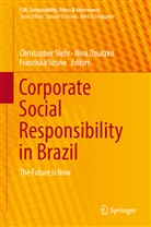 Nin Dziatzko, Nina Dziatzko, Christopher Stehr, Franziska Struve - Corporate Social Responsibility in Brazil