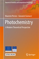 Giovanni Granucci, Maurizi Persico, Maurizio Persico - Photochemistry