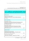 Andreas Bochmann, Hans-Arve Willberg, Hans-Arved Willberg - Cura Animarum (2018) 1