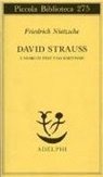 Friedrich Nietzsche - David Strauss. L'uomo di fede e lo scrittore