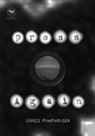 Chris Funkhouser - pressAgain