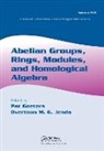 Pat Goeters, Pat (Auburn University Goeters, Pat Jenda Goeters, Pat Goeters, Goeters Pat, Overtoun M.G. Jenda - Abelian Groups, Rings, Modules, and Homological Algebra