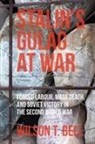 Wilson T Bell, Wilson T. Bell, Christina Mazzoni - Stalin''s Gulag At War