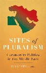 Firat Oruc - Sites of Pluralism 