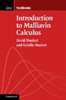 David Nualart, David (University of Kansas) Nualart, David (University of Kansas) Nualart Nualart, Eul...lia (Universitat Pompeu Fabra Nualart, Eulalia Nualart, Eulalia (Universitat Pompeu Fabra Nualart... - Introduction to Malliavin Calculus