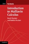 David Nualart, David (University of Kansas) Nualart, David (University of Kansas) Nualart Nualart, Eul...lia (Universitat Pompeu Fabra Nualart, Eulalia Nualart, Eulalia (Universitat Pompeu Fabra Nualart... - Introduction to Malliavin Calculus