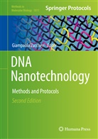 Giampaol Zuccheri, Giampaolo Zuccheri - DNA Nanotechnology
