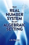 J. B. Roberts, J.B. Roberts - The Real Number System in an Algebraic Setting
