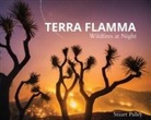 Palley, Stuart Palley - Terra Flamma