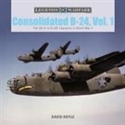 Doyle, David Doyle - Consolidated B-24 Vol.1