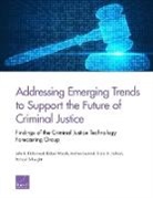 John S Hollywood, John S. Hollywood, Brian A Jackson, Andrew Lauland, Richard Silberglitt, Dulani Woods - Addressing Emerging Trends to Support the Future of Criminal Justice
