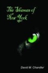 David Chandler - Shaman of New York