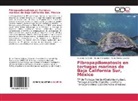 Helen Fernández, Helena Fernández, María Lara-Uc, María Mónica Lara-Uc, Eduard Reséndiz, Eduardo Reséndiz - Fibropapilomatosis en tortugas marinas de Baja California Sur, México