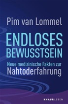 Pim van Lommel - Endloses Bewusstsein