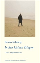 Bruno Schonig - In den kleinen Dingen