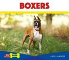 Katie Lajiness - Boxers