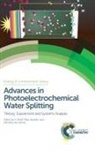 Prof. S David (University of Zurich Tilley, S David (University of Zurich Tilley, S David Lany Tilley, Roel van de Krol, Stephan Lany, Stephan (National Renewable Energy Laboratory Lany... - Advances in Photoelectrochemical Water Splitting