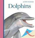 Gallimard Jeunesse, Sylvaine Peyrols, Sylvaine Peyrols - Dolphins
