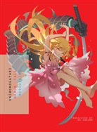 Ishin Nishio, NisiOisiN, Nisioisin - Onimonogatari