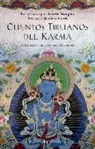 Tenzin Wangmo - Cuentos Tibetanos del Karma: El Principe Y Las Historias del Cadaver