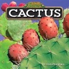 Anastasiya Vasilyeva - Cactus