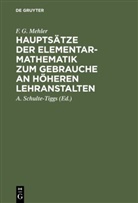 F. G. Mehler, Ferdinand Gustav Mehler, A. Schulte-Tiggs - Hauptsätze der Elementar-Mathematik zum Gebrauche an höheren Lehranstalten