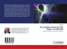 Jiri Soucek - The particle model for the Higgs' condensate