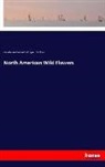 Agne FitzGibbon, Agnes FitzGibbon, Catherine Parr Traill, Catherine Parr Stricklan Traill, Catherine Parr Strickland Traill - North American Wild Flowers