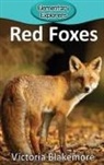 Victoria Blakemore - Red Foxes